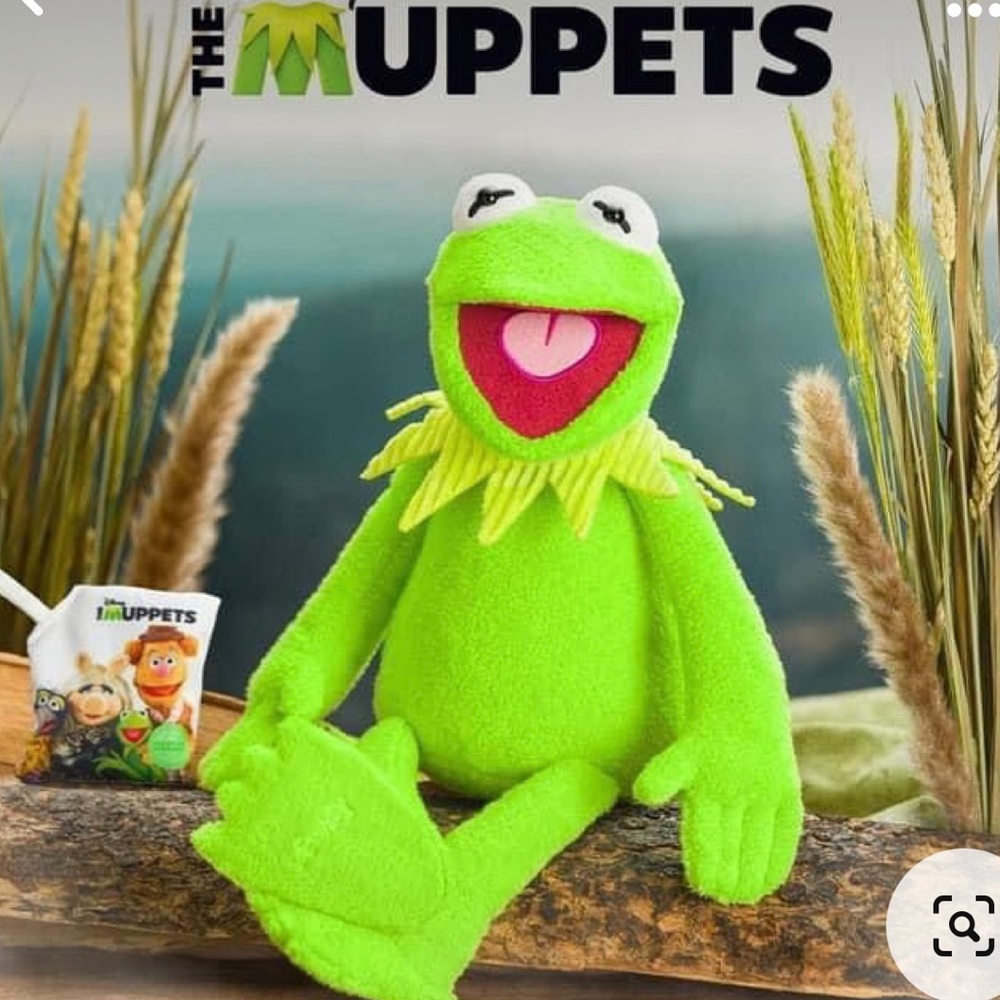 Kermit buddy